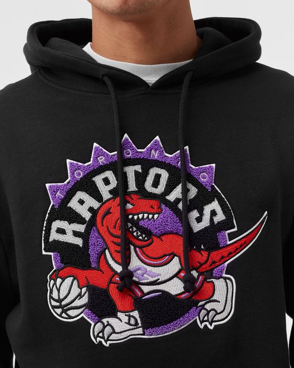 Toronto raptors hoodie store mitchell and ness