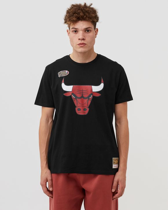 Shop Mitchell & Ness Chicago Bulls Team Logo T-Shirt (white) online