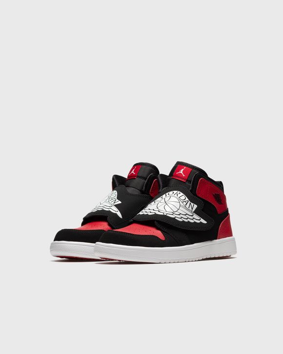 Sky Jordan 1