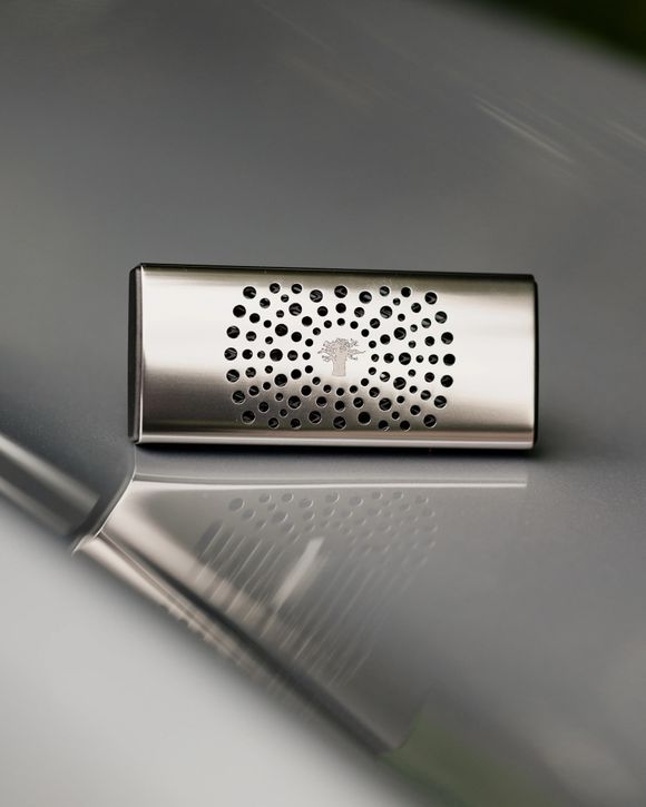 Car Diffuser Platinum