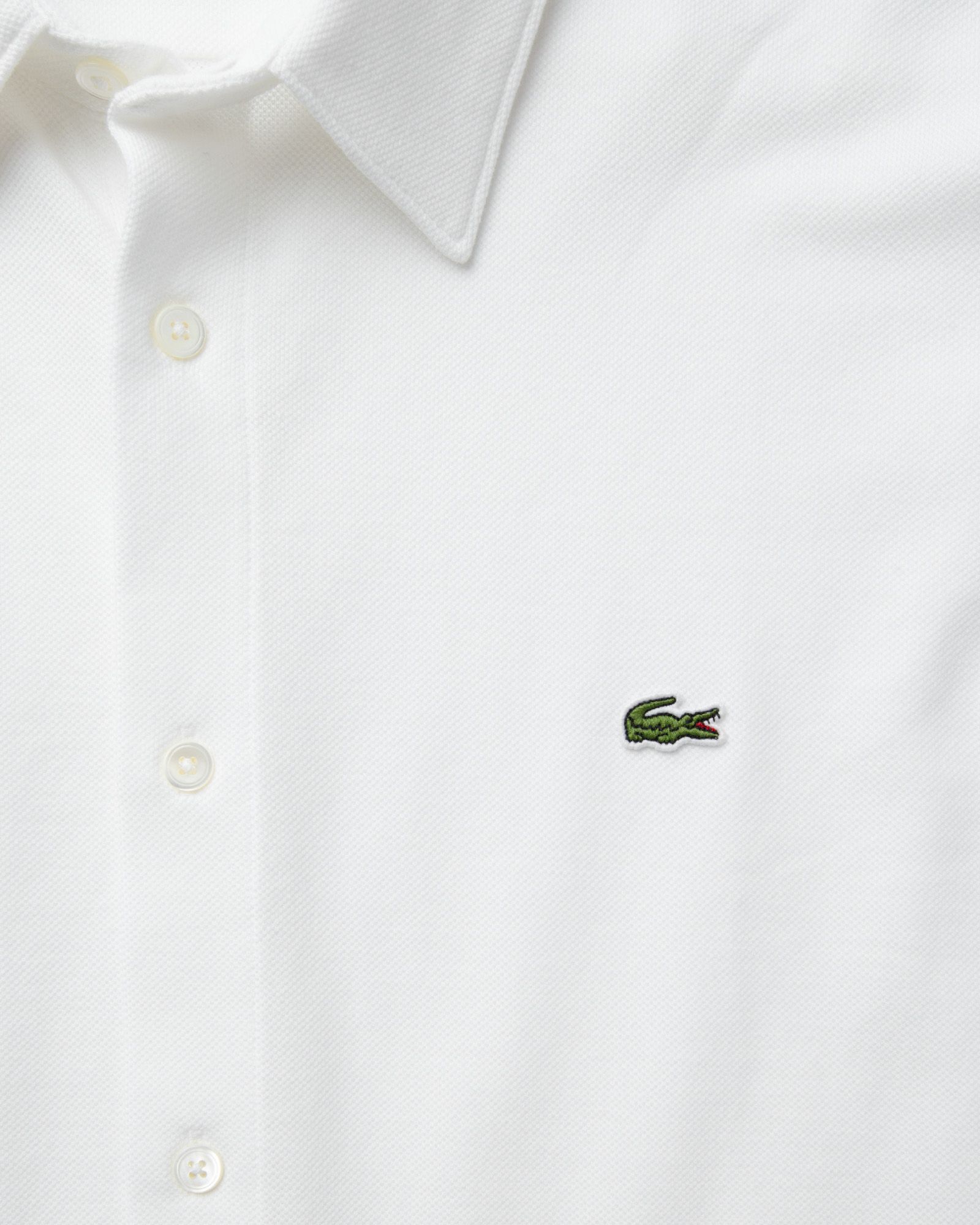 CHEMISE CASUAL MANCHES LO