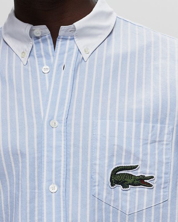 STRIPED MAXI CROC CONTRAST COLLAR COTTON OXFORD SHIRT