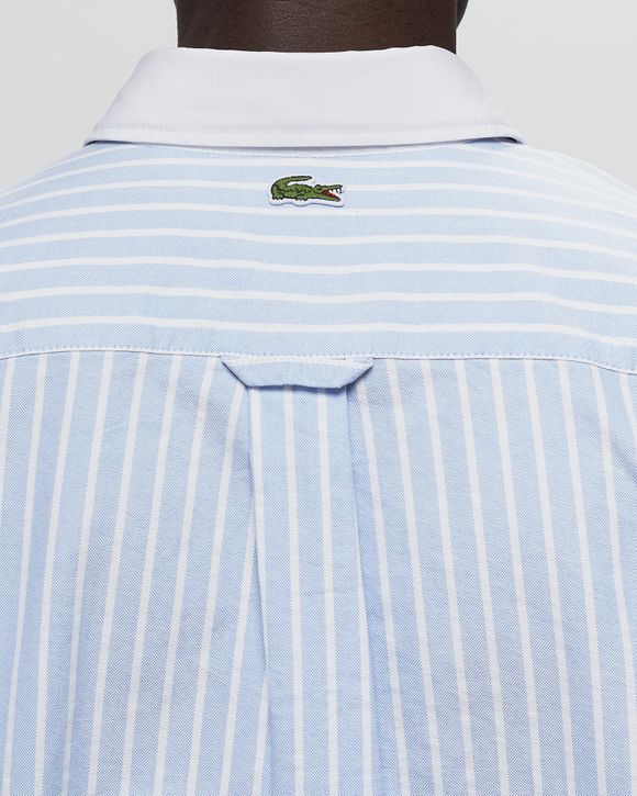 STRIPED MAXI CROC CONTRAST COLLAR COTTON OXFORD SHIRT