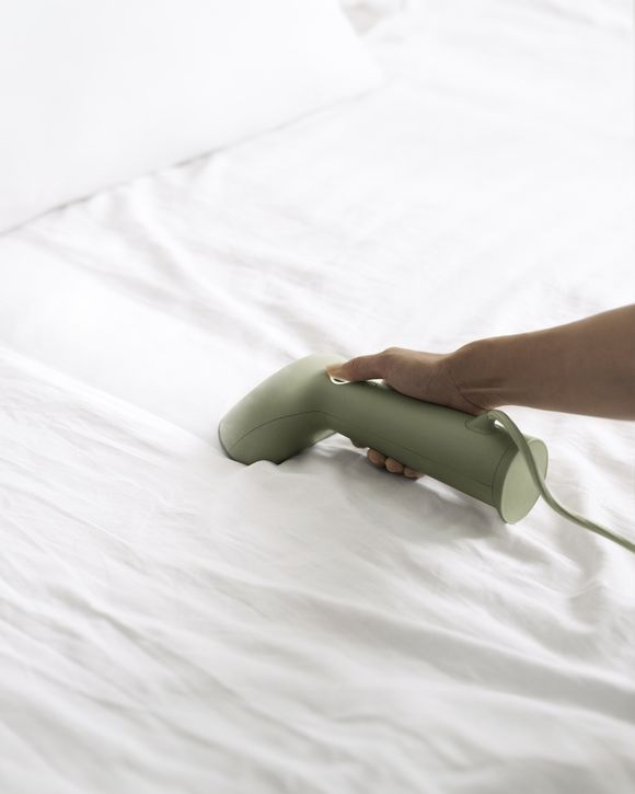 Cirrus 3 Iron Steamer Sage - EU PLUG