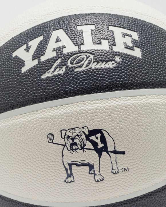 Yale Basketball