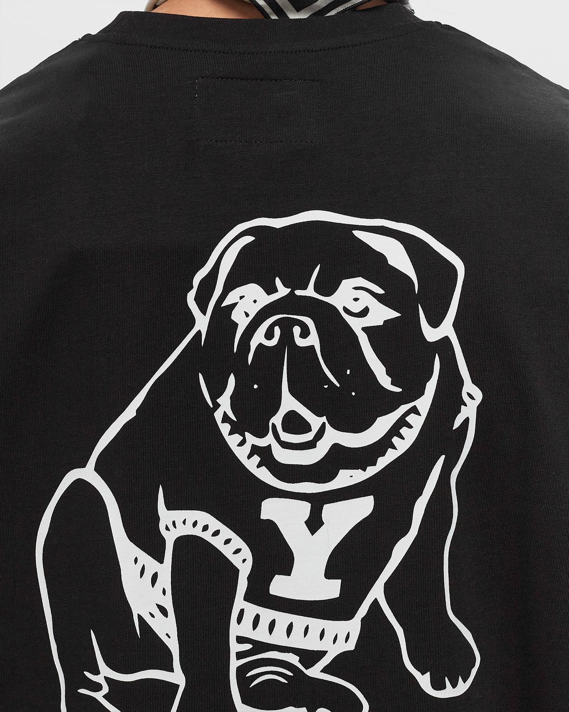 トップス jackson matisse yale bulldog JACKSON MATISSE YALE Bulldog Sweat