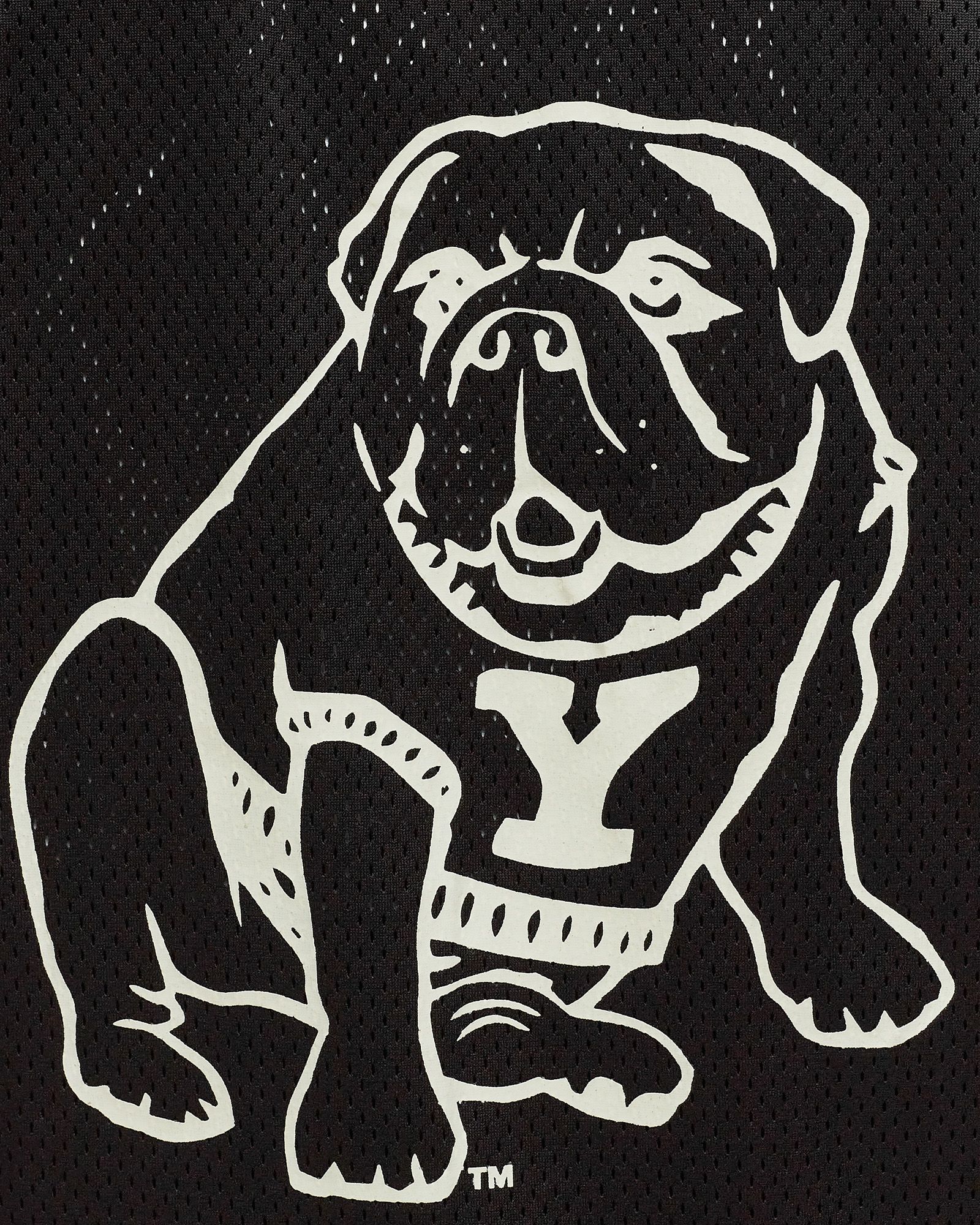 Yale Printed Mesh Tanktop