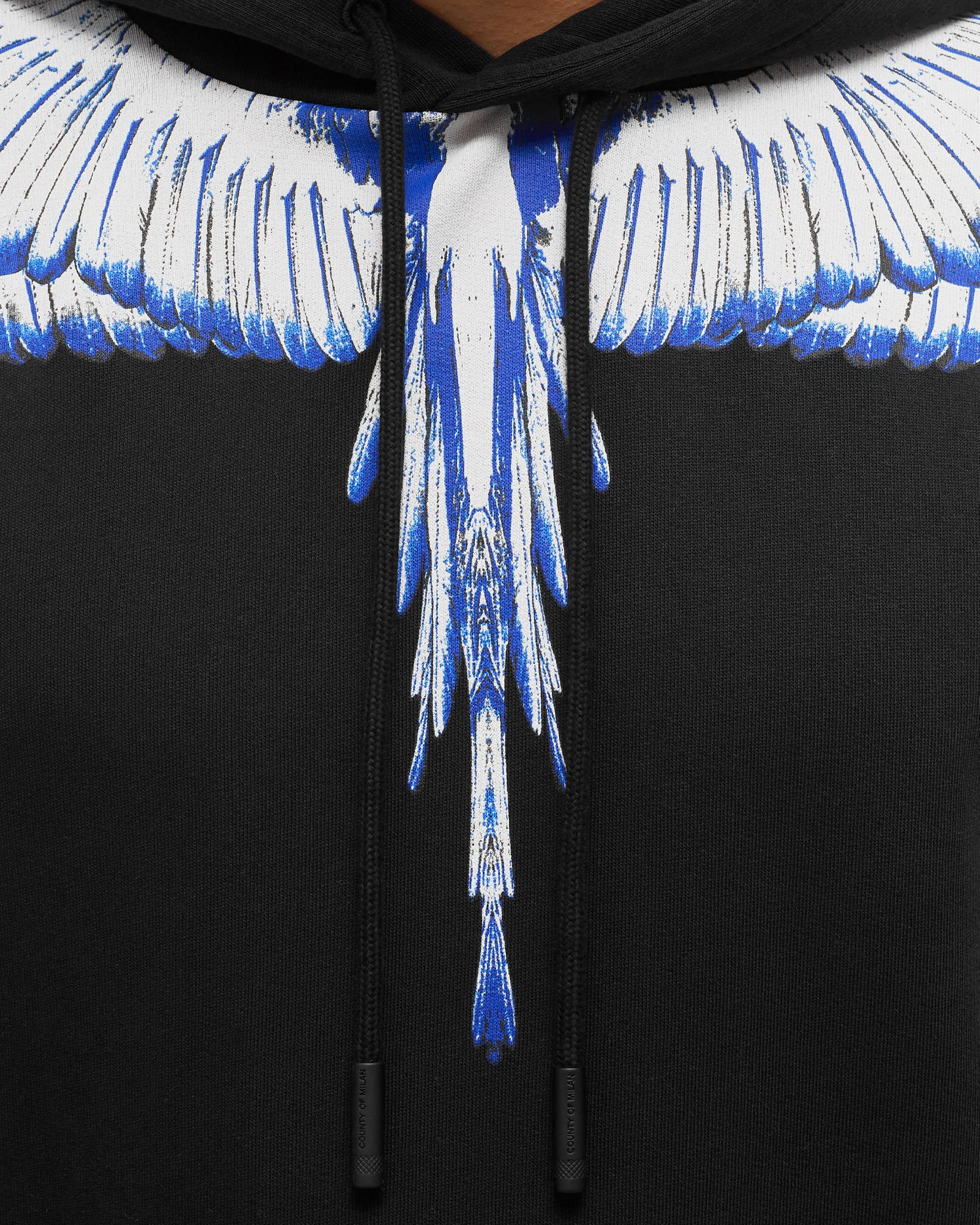 ICON WINGS REGULAR HOODIE