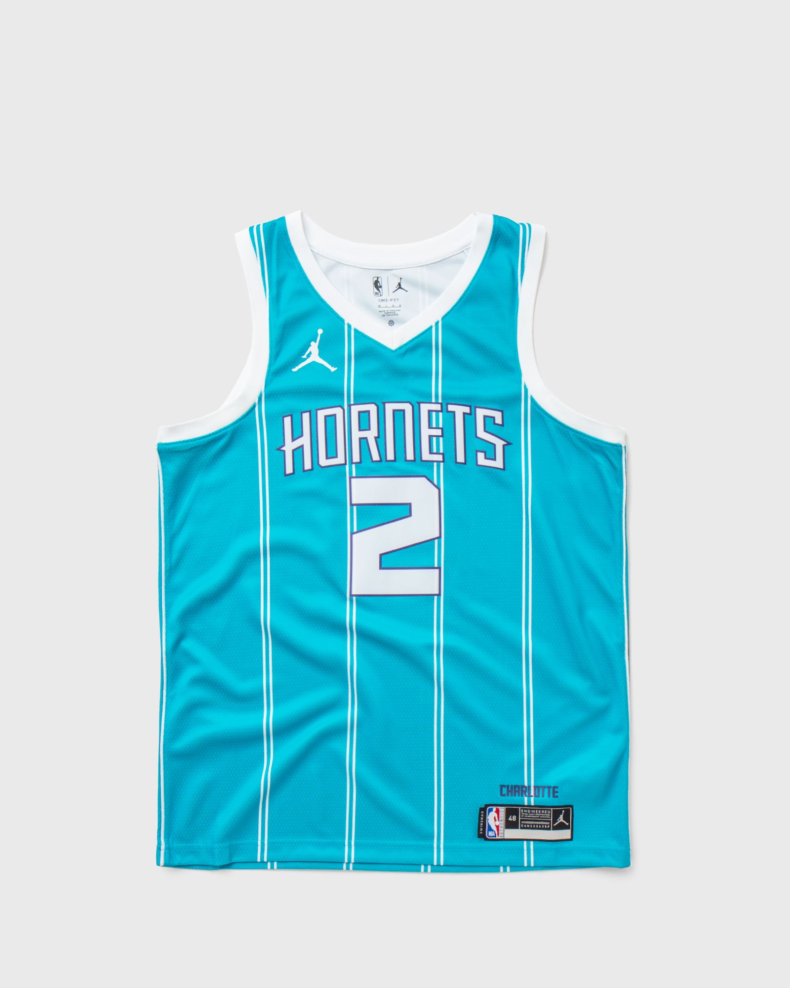 Hornets Icon Edition 2020 NBA Swingman Jersey