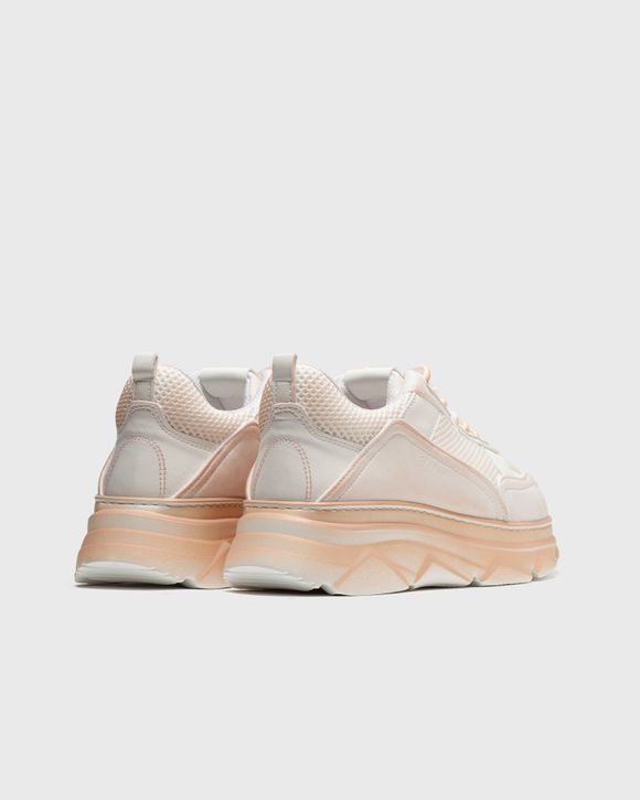 CPH40 mesh