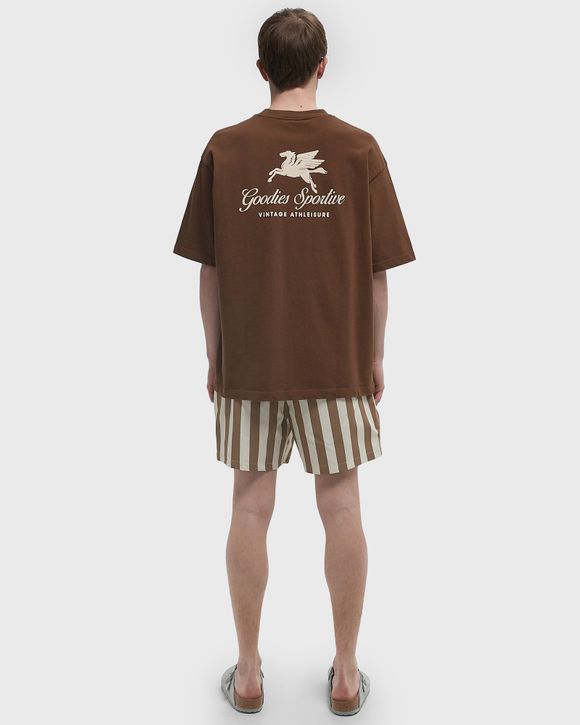 Thumbnail - CHOCOLATE PEGASUS