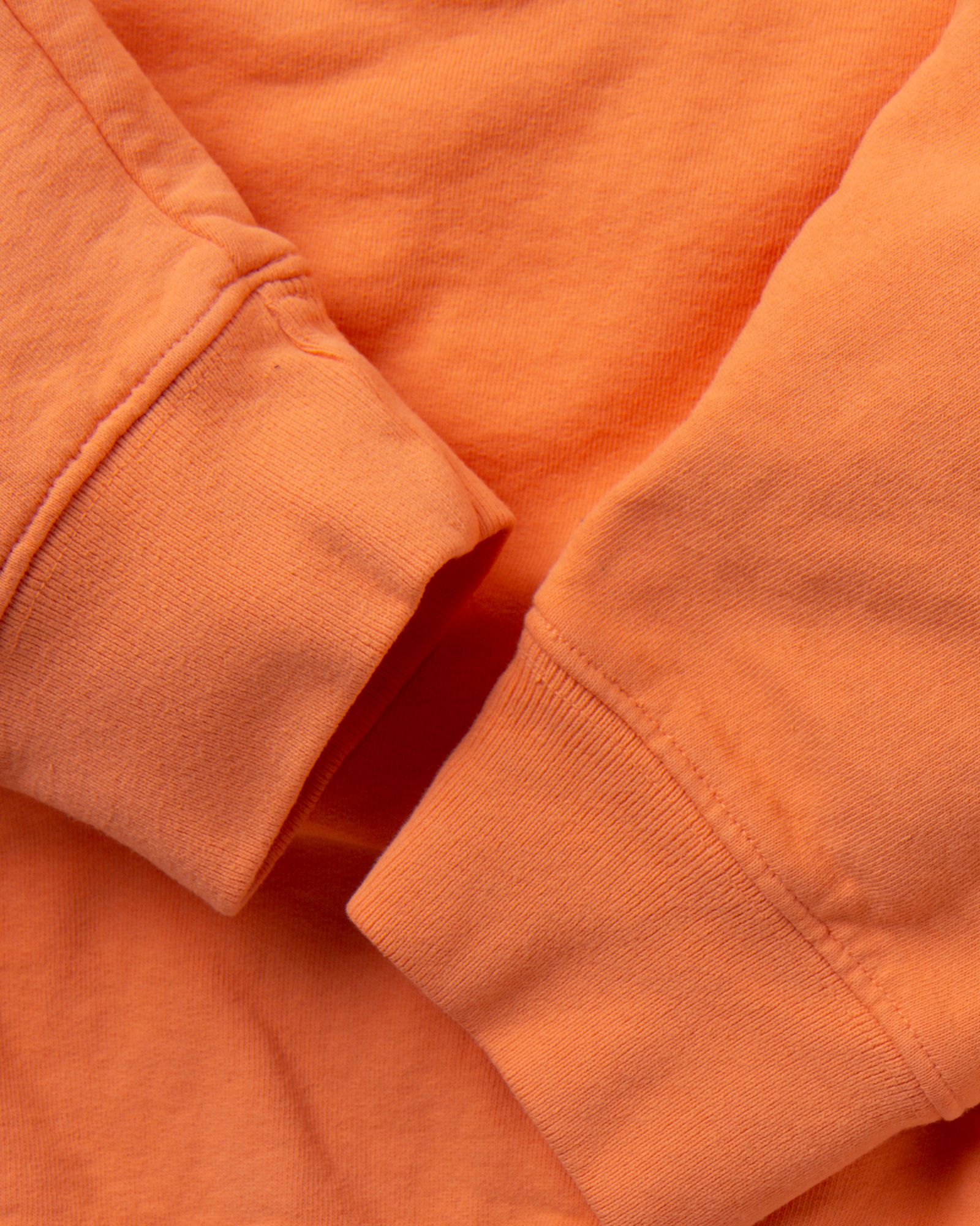 Health & Wellness Crewneck SWEATSHIRT