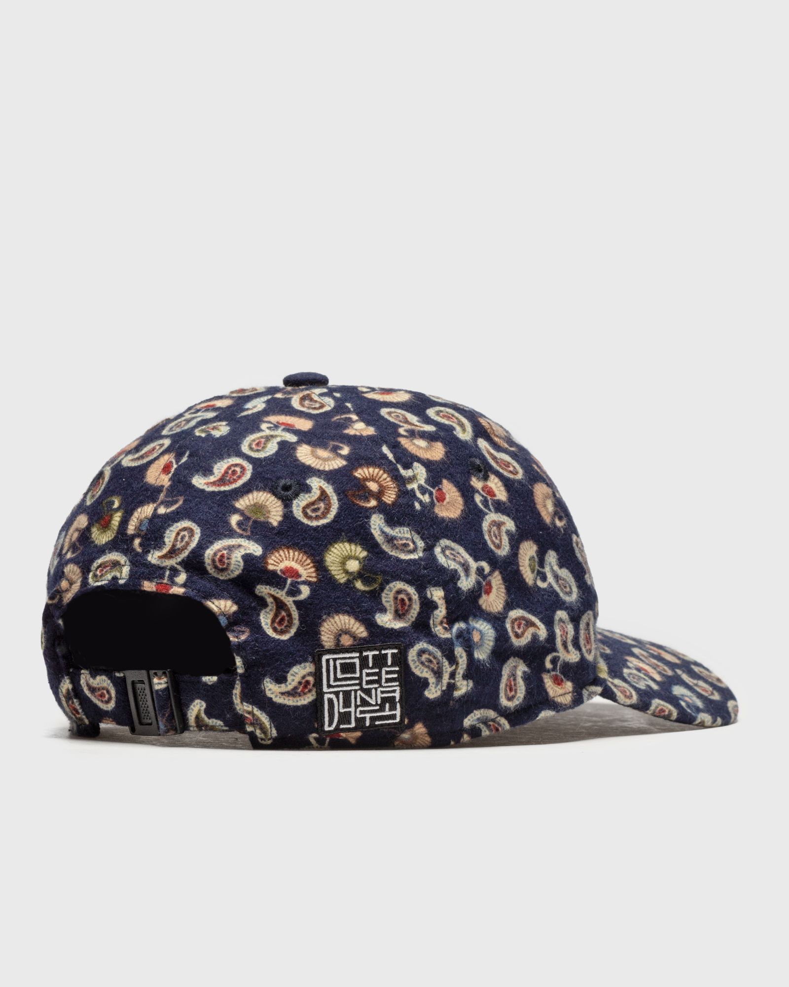 PAISLEY DAD CAP