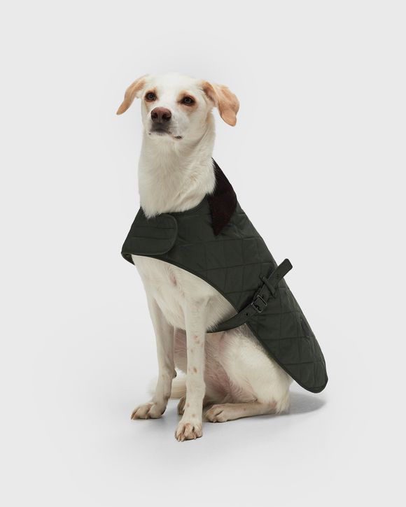 Barbour quilted dog on sale coat