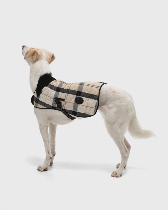 Tartan Coat