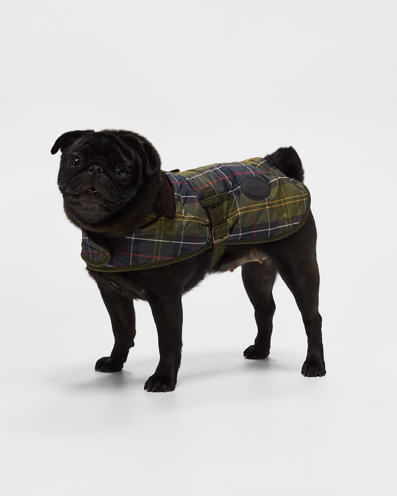 Tartan Coat