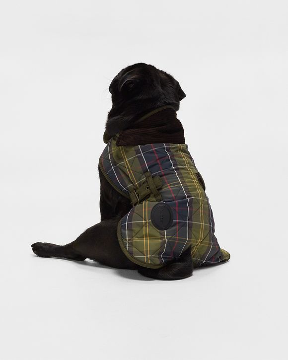 Xs barbour 2024 dog coat