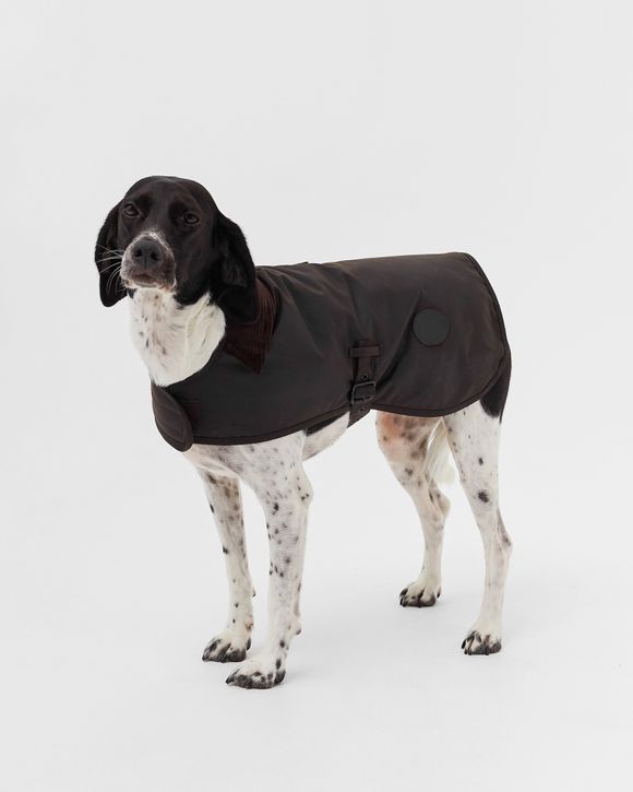 Wax Dog Coat