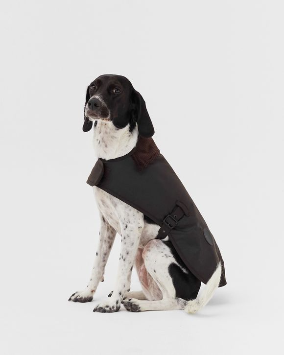 Wax Dog Coat