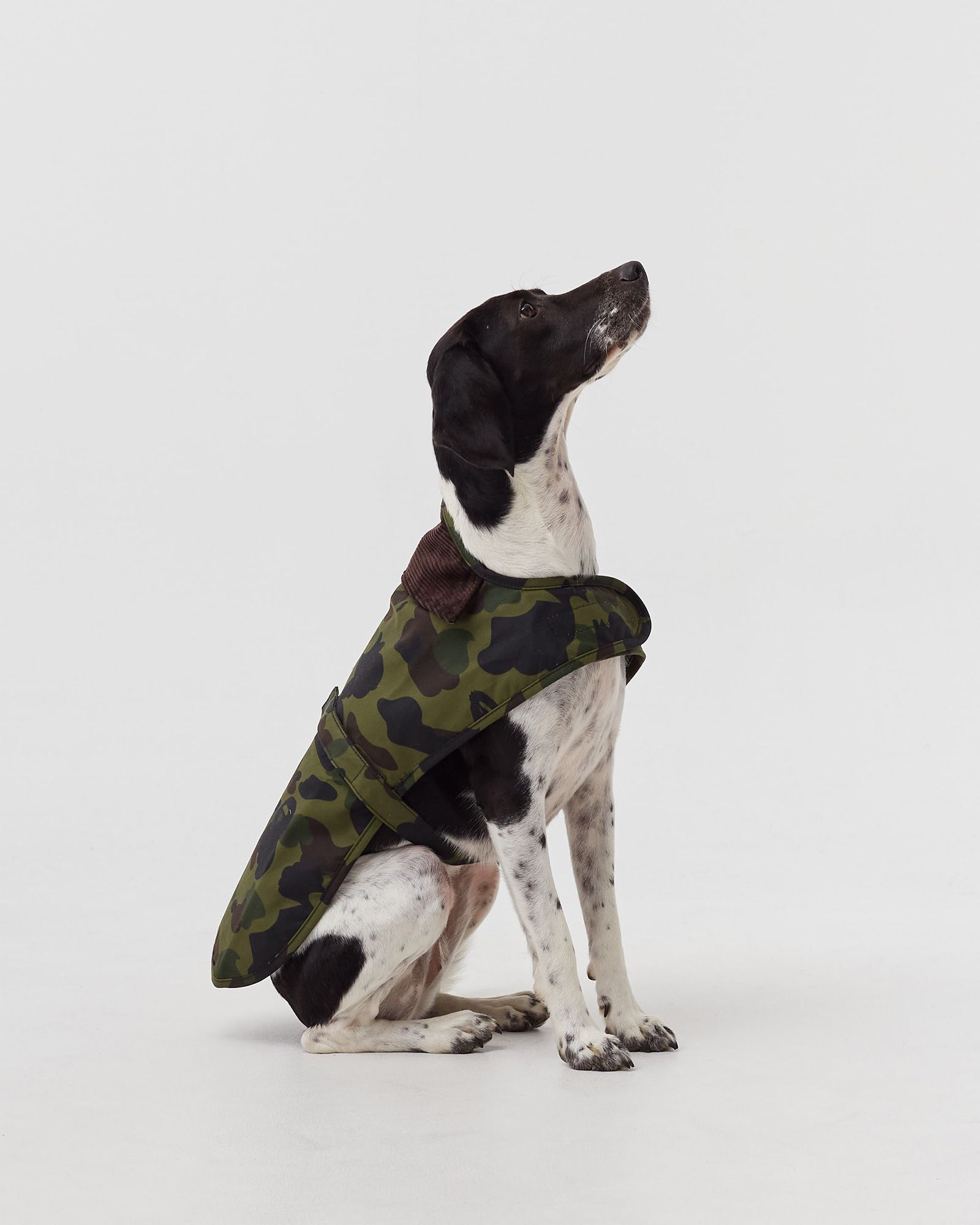 Barbour x Bape Camo Dog Coat