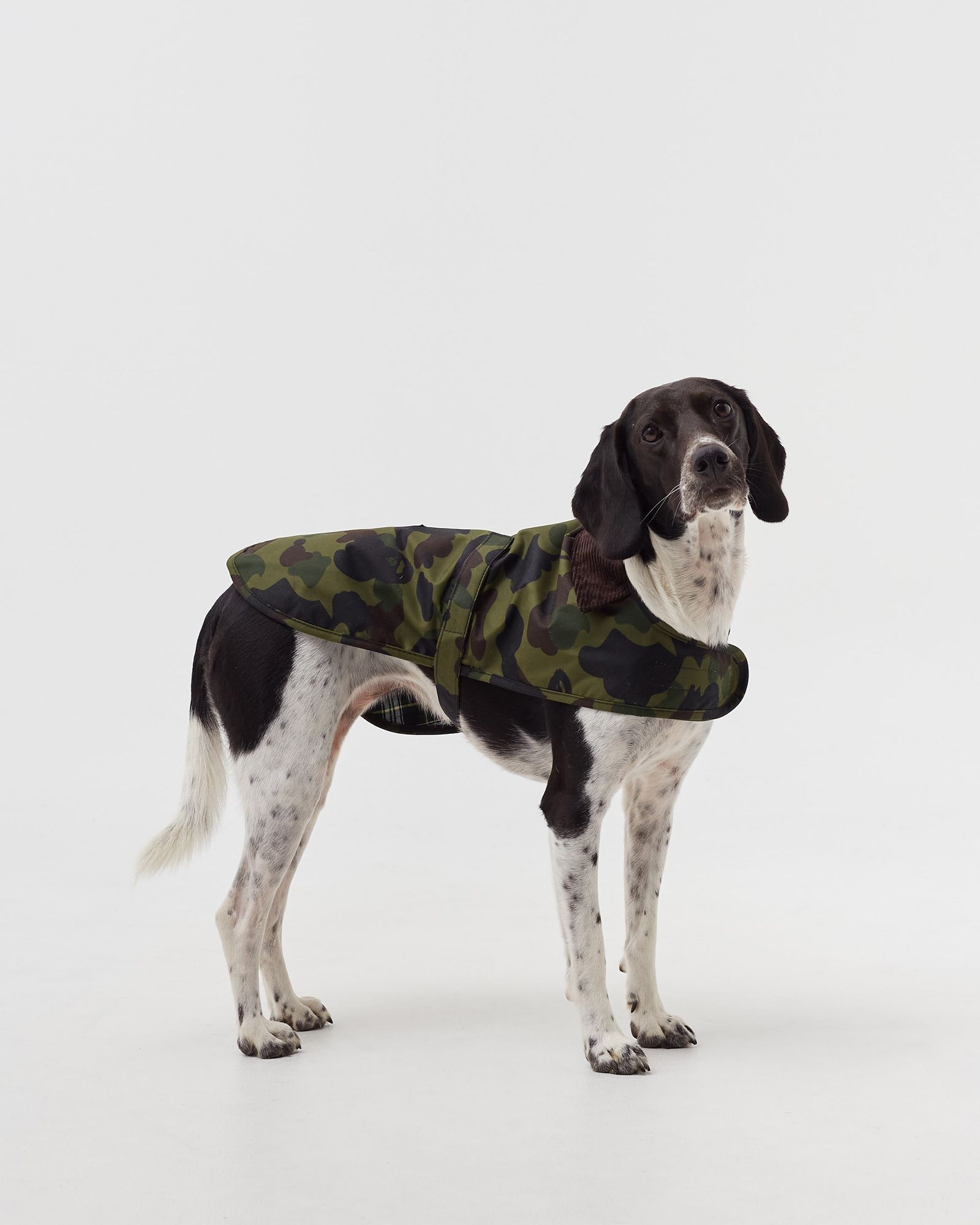 Barbour x Bape Camo Dog Coat
