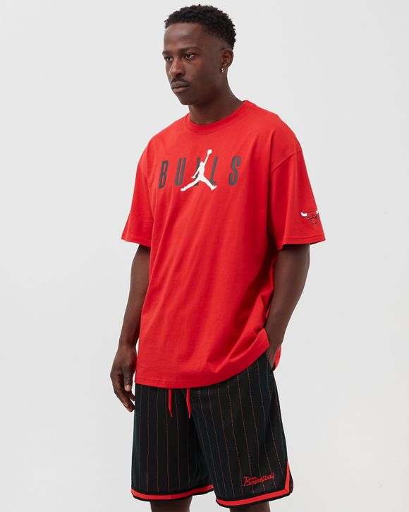 NBA Jordan Chicago Bulls Essentials red t-shirt - FD1460-657