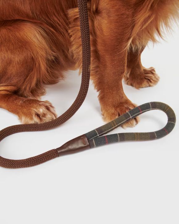 Tar Slip Lead