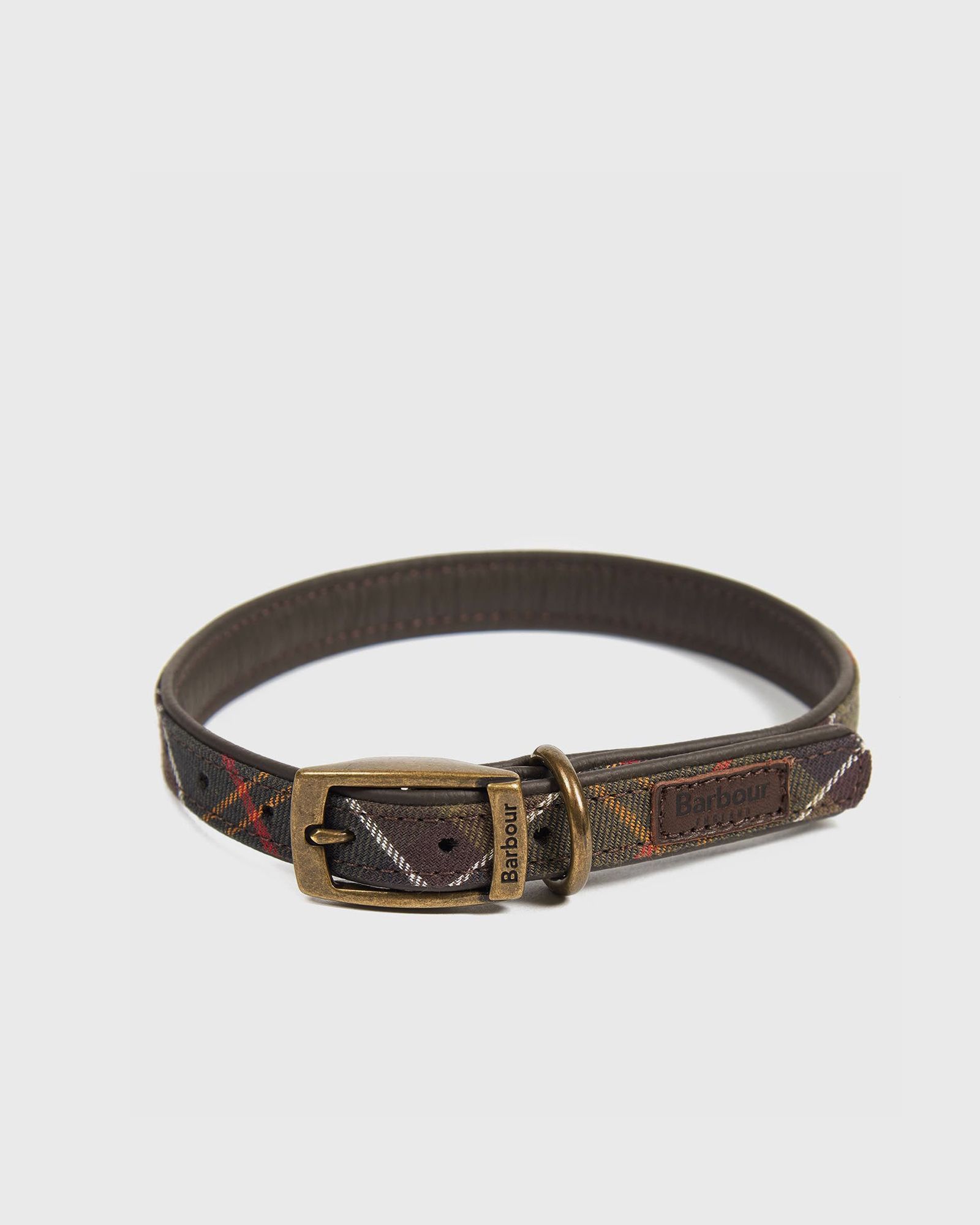 Tar Dog Collar