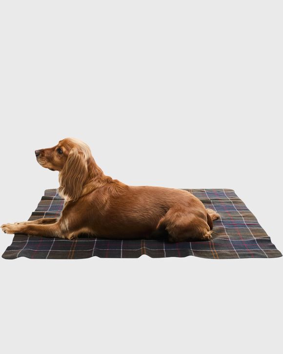 Thumbnail - Tartan Dog