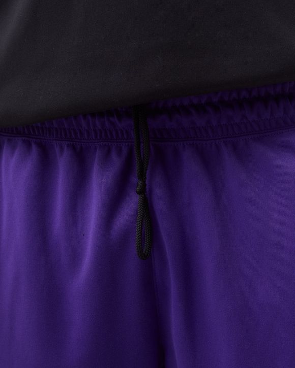 Los Angeles Lakers Spotlight Dri-FIT NBA Pants