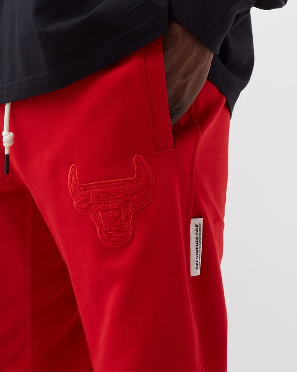 Chicago Bulls Spotlight Men's Nike Dri-FIT NBA Pants.