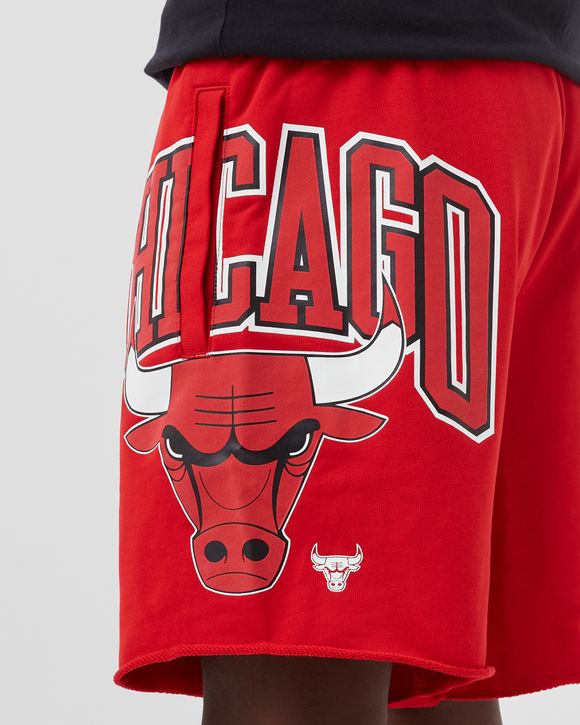 Chicago Bulls Courtside Men's Nike Dri-FIT NBA Shorts.