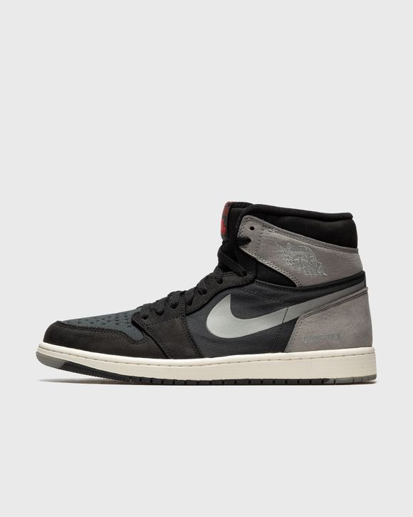 Air Jordan 1 Element "Gore Tex"