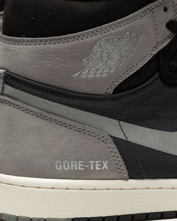 Air Jordan 1 Element "Gore Tex"