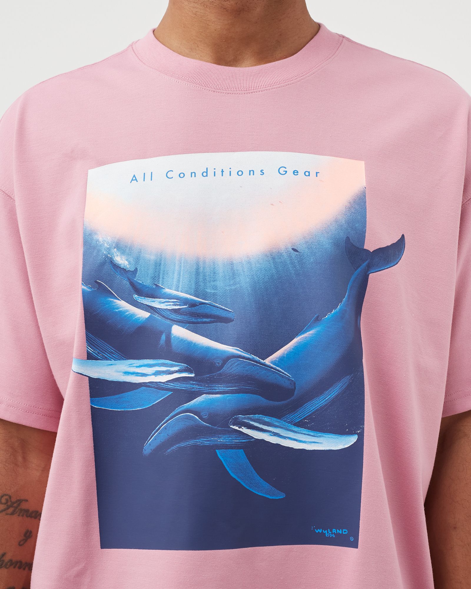 ACG TEE WYLAND