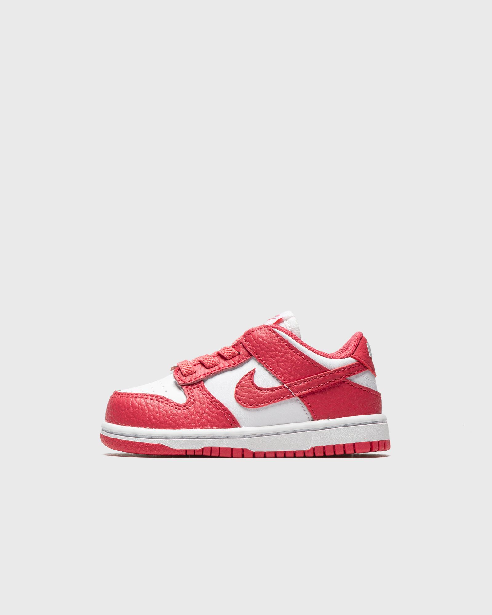 Dunk Low (TD)
