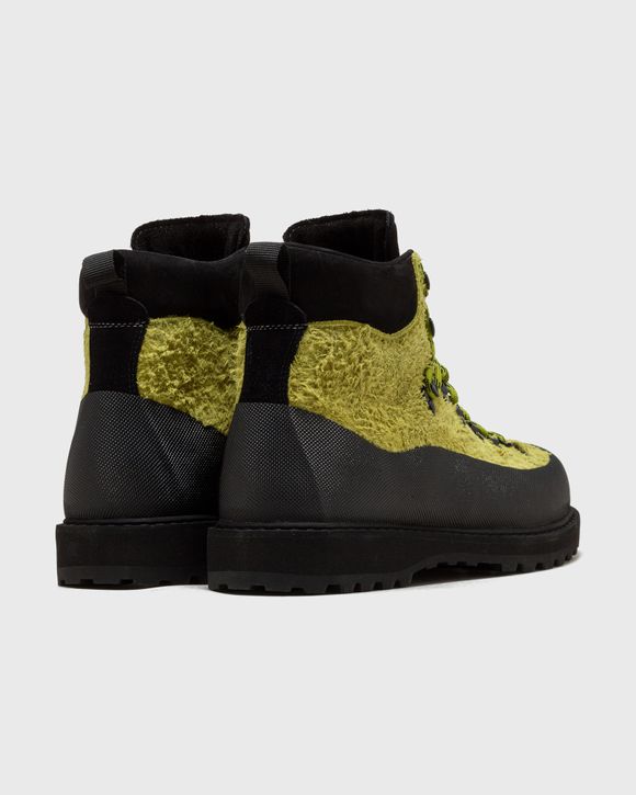 roccia vet sport