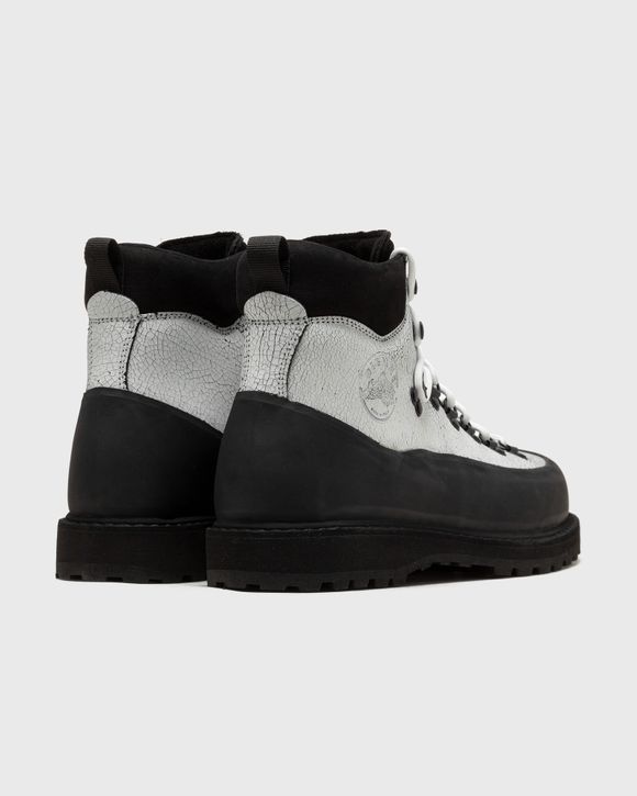 roccia vet sport