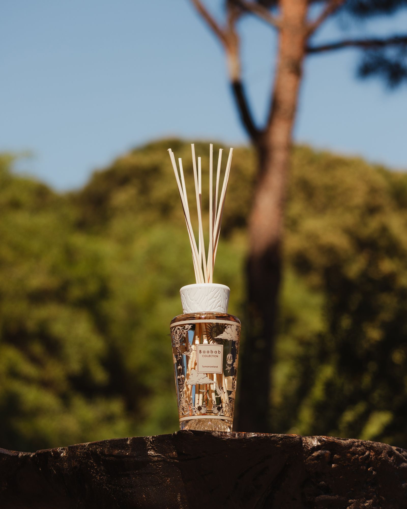 Diffuser 250ml My First Baobab Tomorrowland 2025