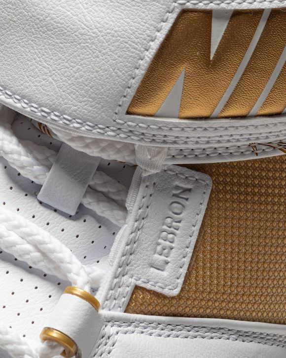 LeBron 2 "Maccabi"