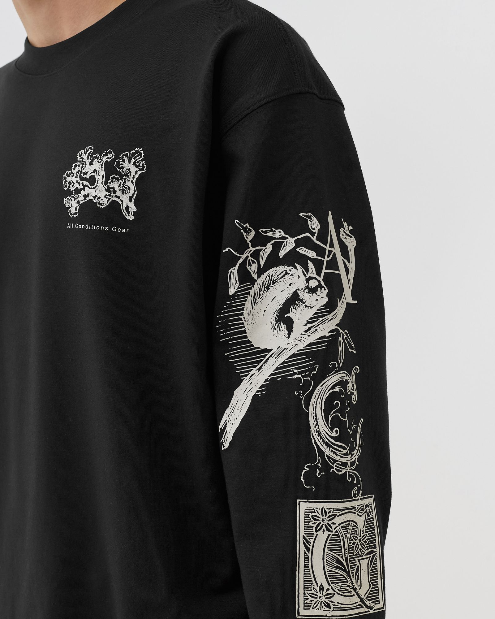 ACG LONGSLEEVE TEE ICELAND INFO