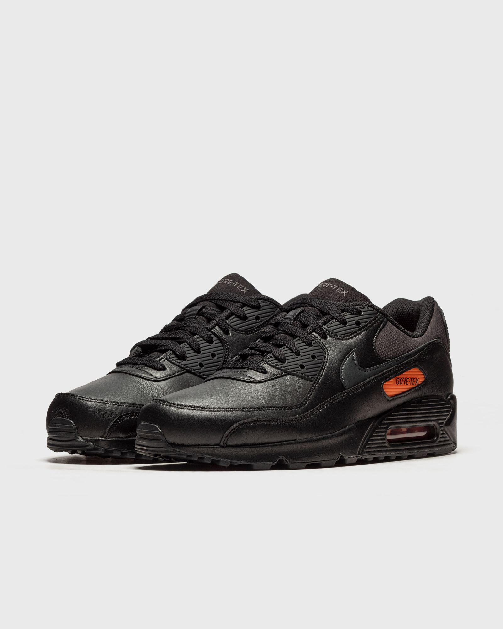 Air Max 90 GTX