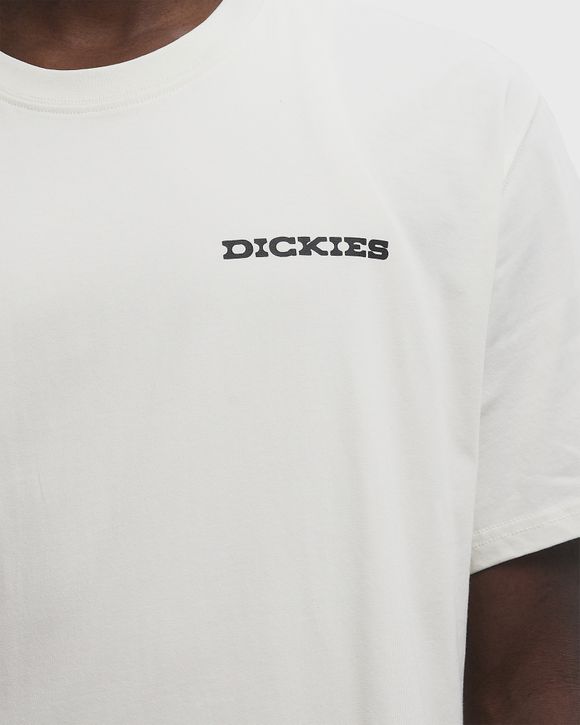 LANDASCAPE SS TEE