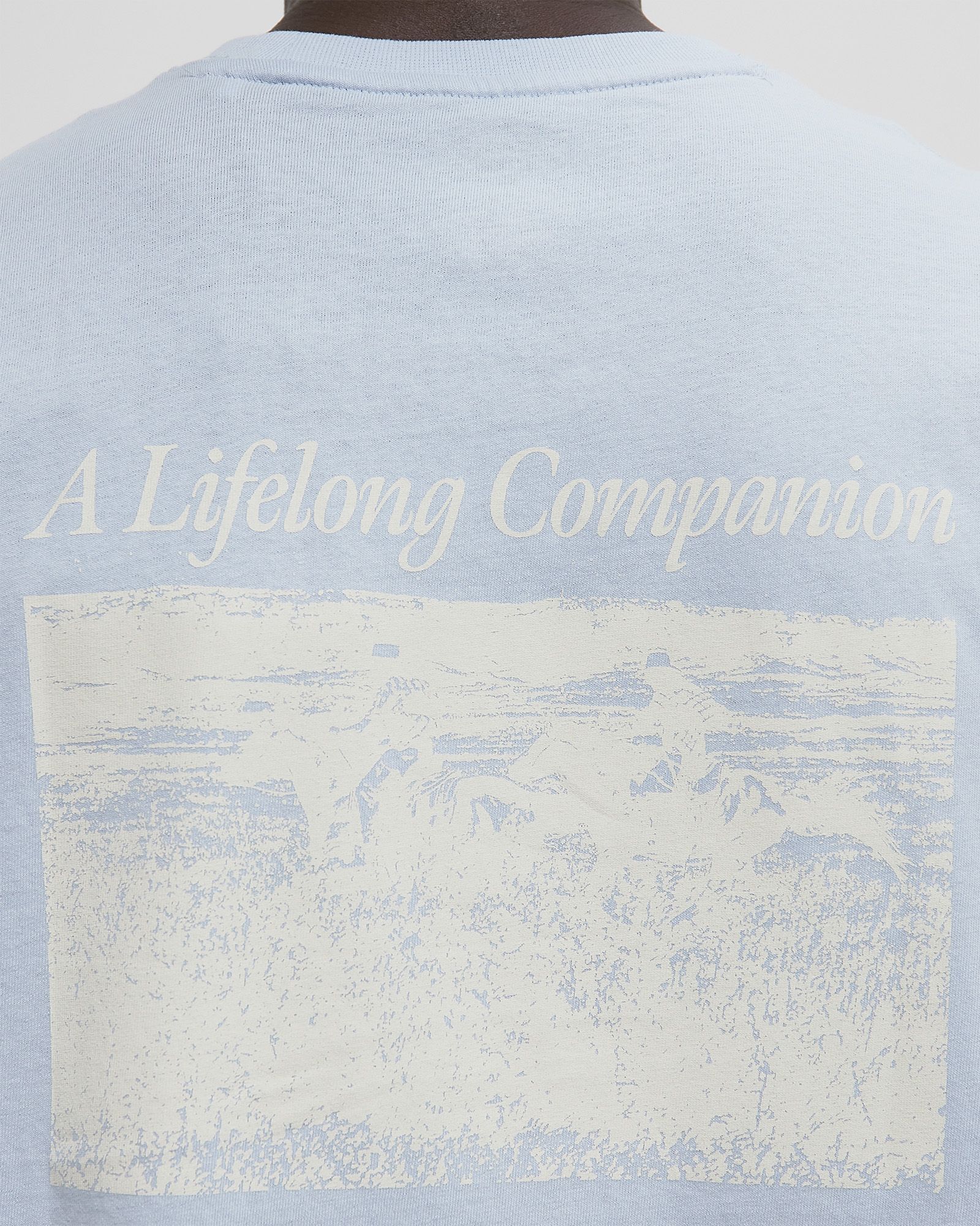 COMPANION SCRIPT SS TEE