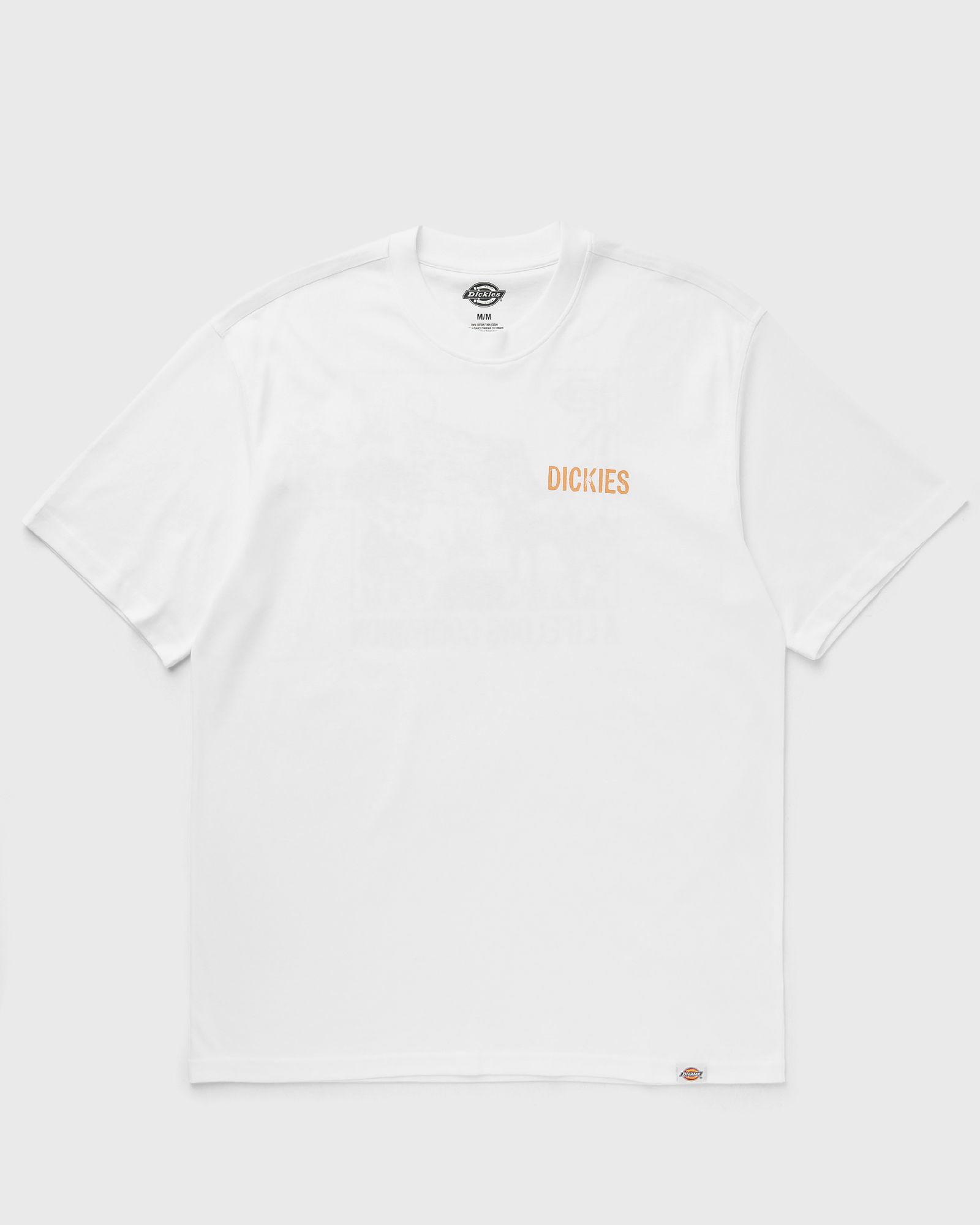 COMPANION SS TEE