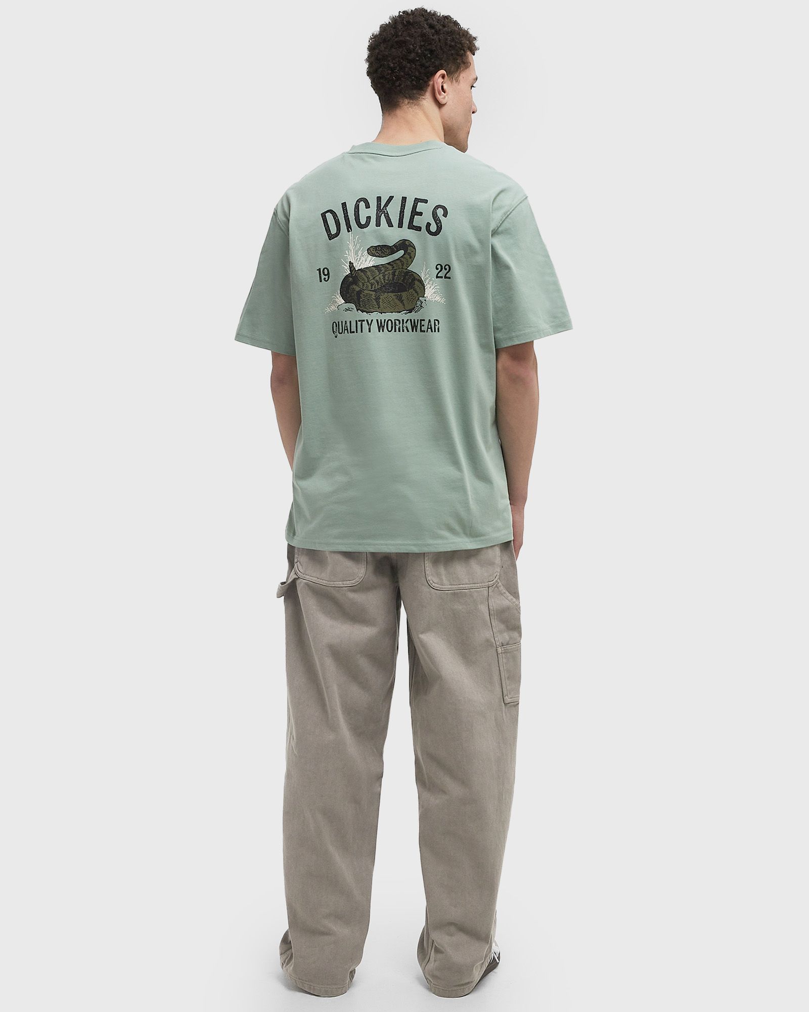DICKIES SNAKE SS TEE