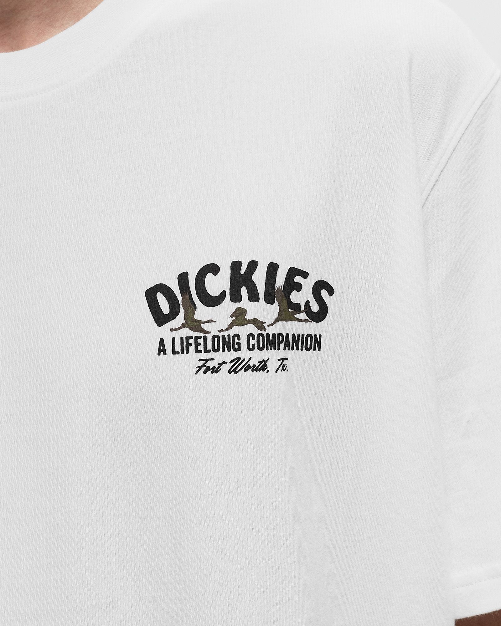 DICKIES COMPANION TEE SS