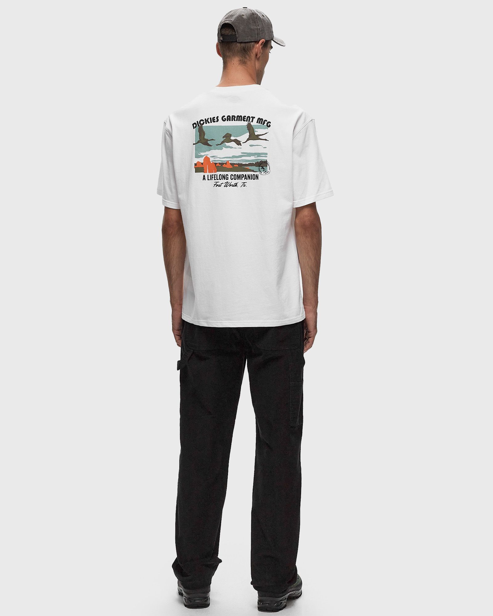 DICKIES COMPANION TEE SS