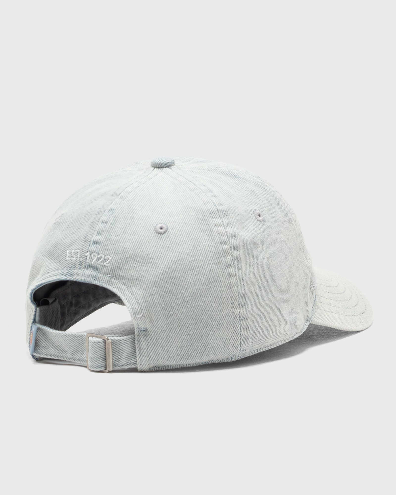 DENIM DAD CAP