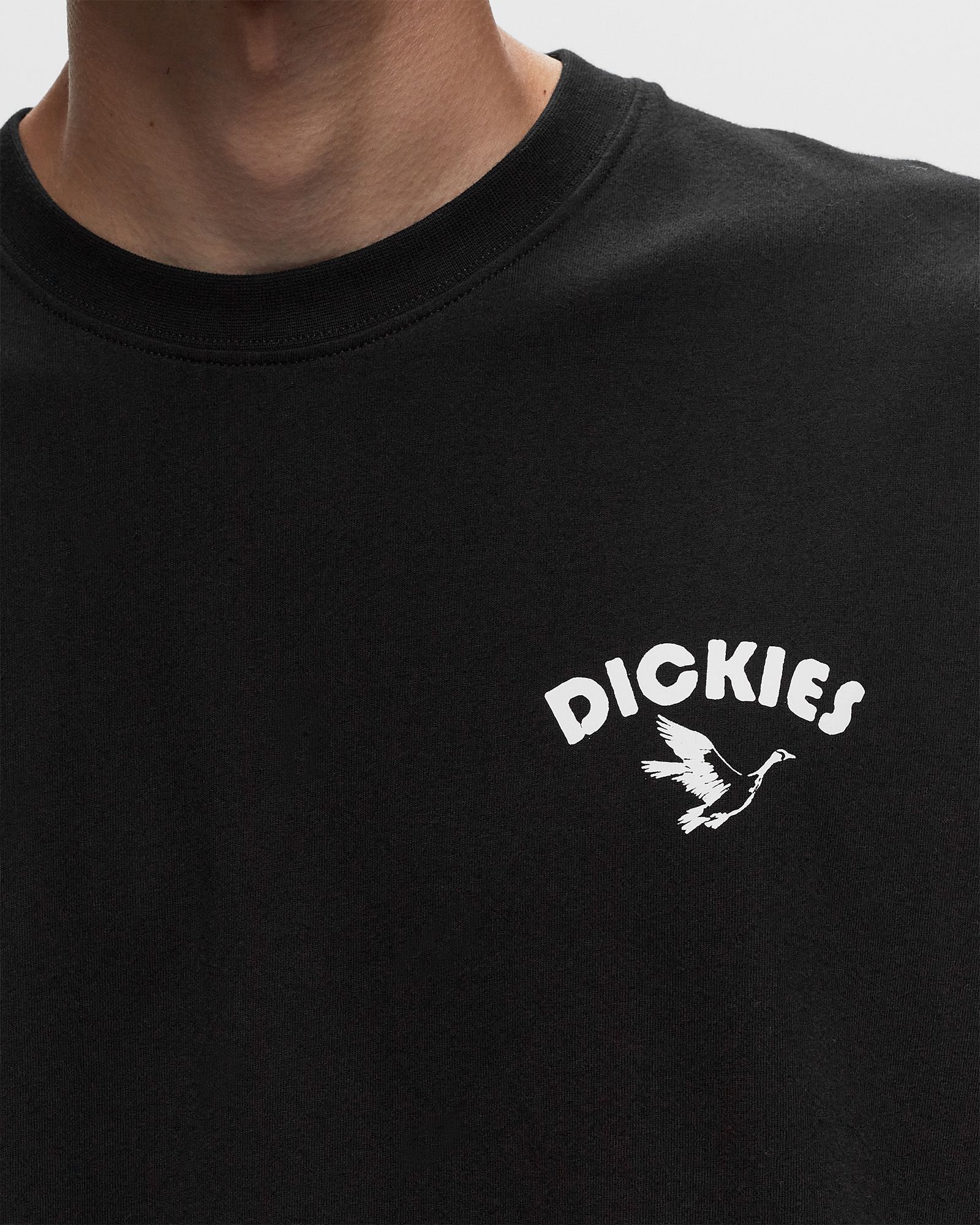 DICKIES GOOSE TEE SS